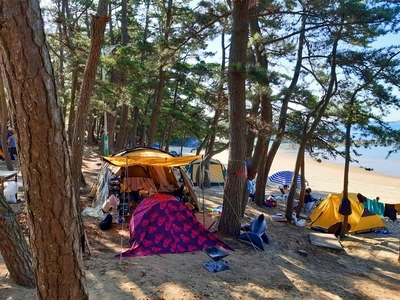 캠핑장