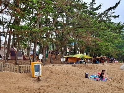 꾸지나무골 해수욕장 캠핑장