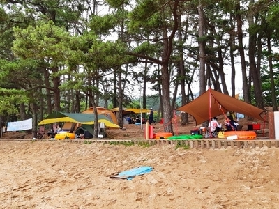 꾸지나무골 해수욕장 캠핑장