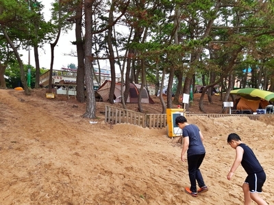 캠핑장